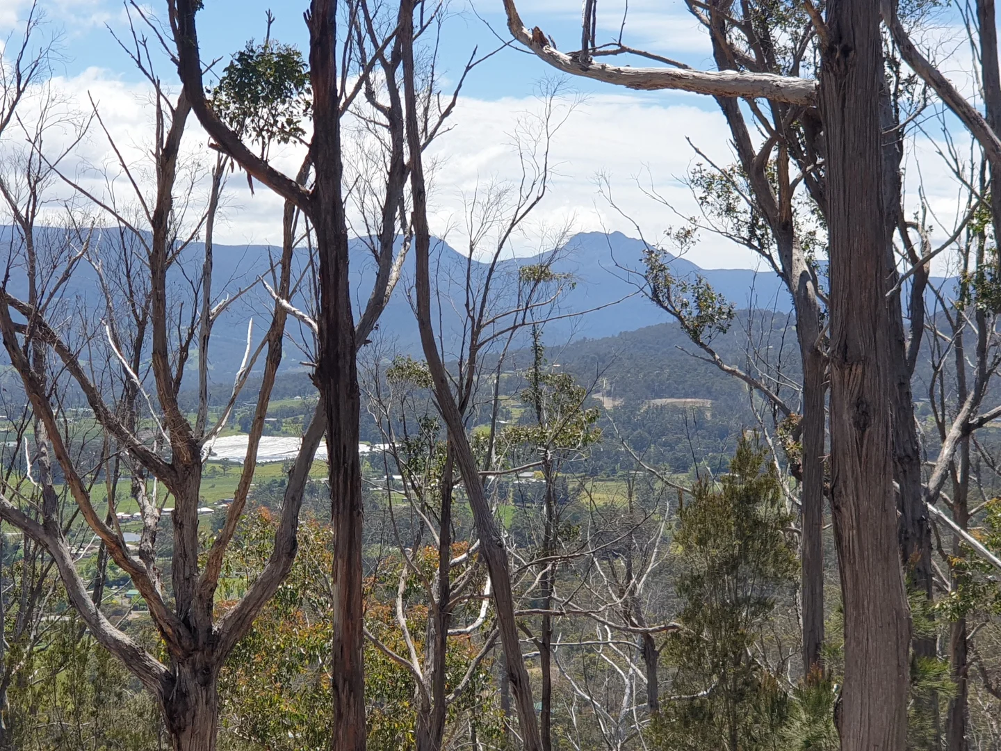 Additional image 4 of 9032 Channel Highway, Huonville TAS 7109