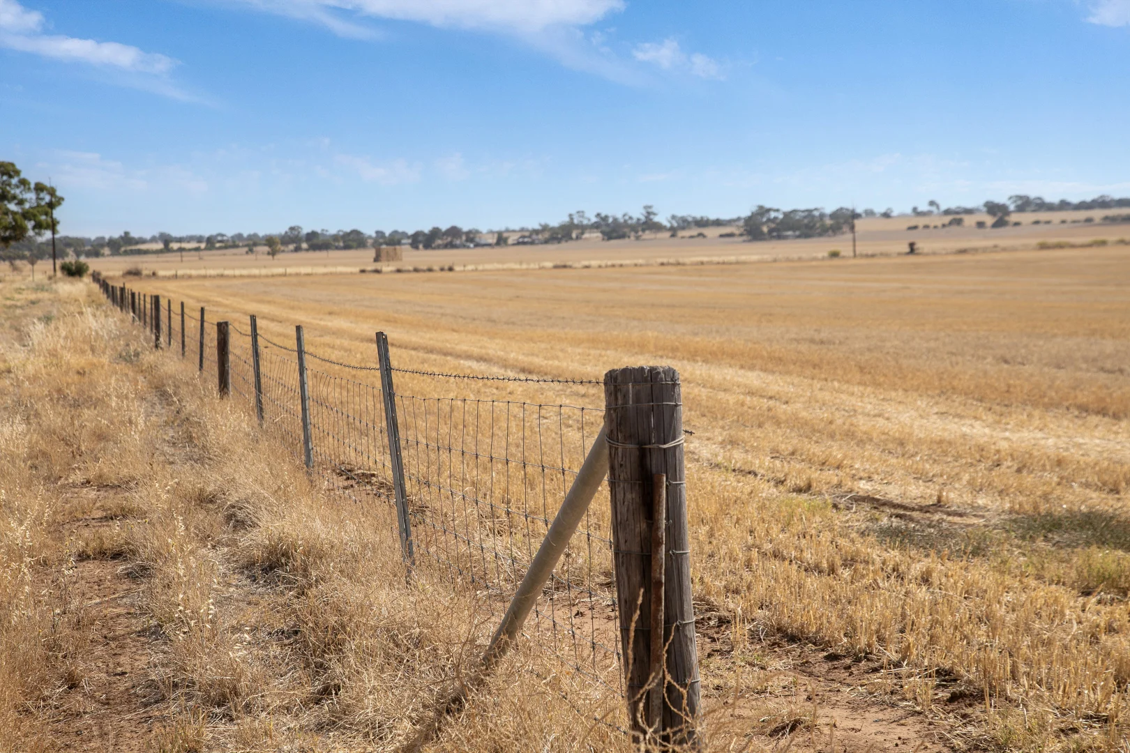 Additional image 26 of 'Leske Farm' Thiele Highway, Freeling SA 5372