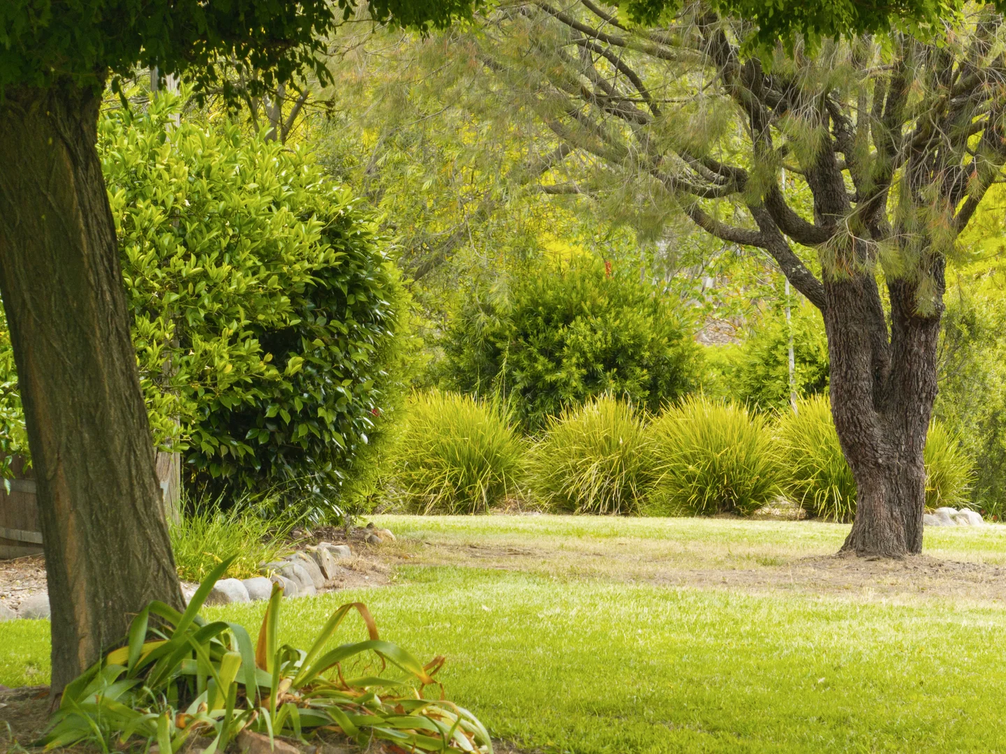 Additional image 20 of 210 Walshs Road, Goughs Bay VIC 3723