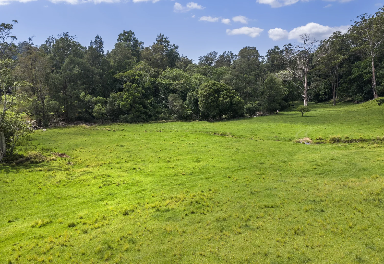 Additional image 19 of 'Franks Farm' Lots 127-129 Free Selectors Road, Foxground NSW 2534