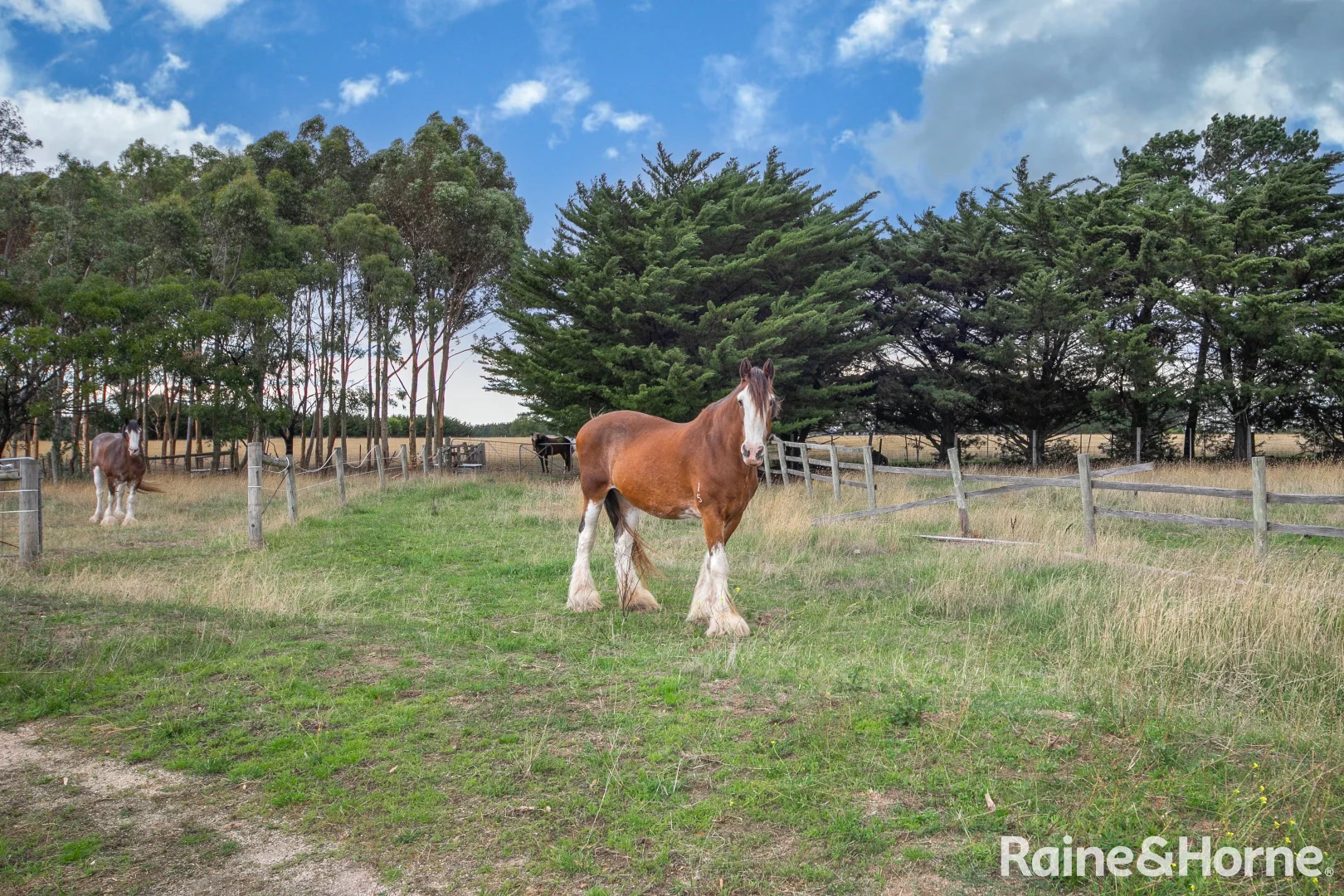 Additional image 25 of 80 Palmer Road, Sunbury VIC 3429