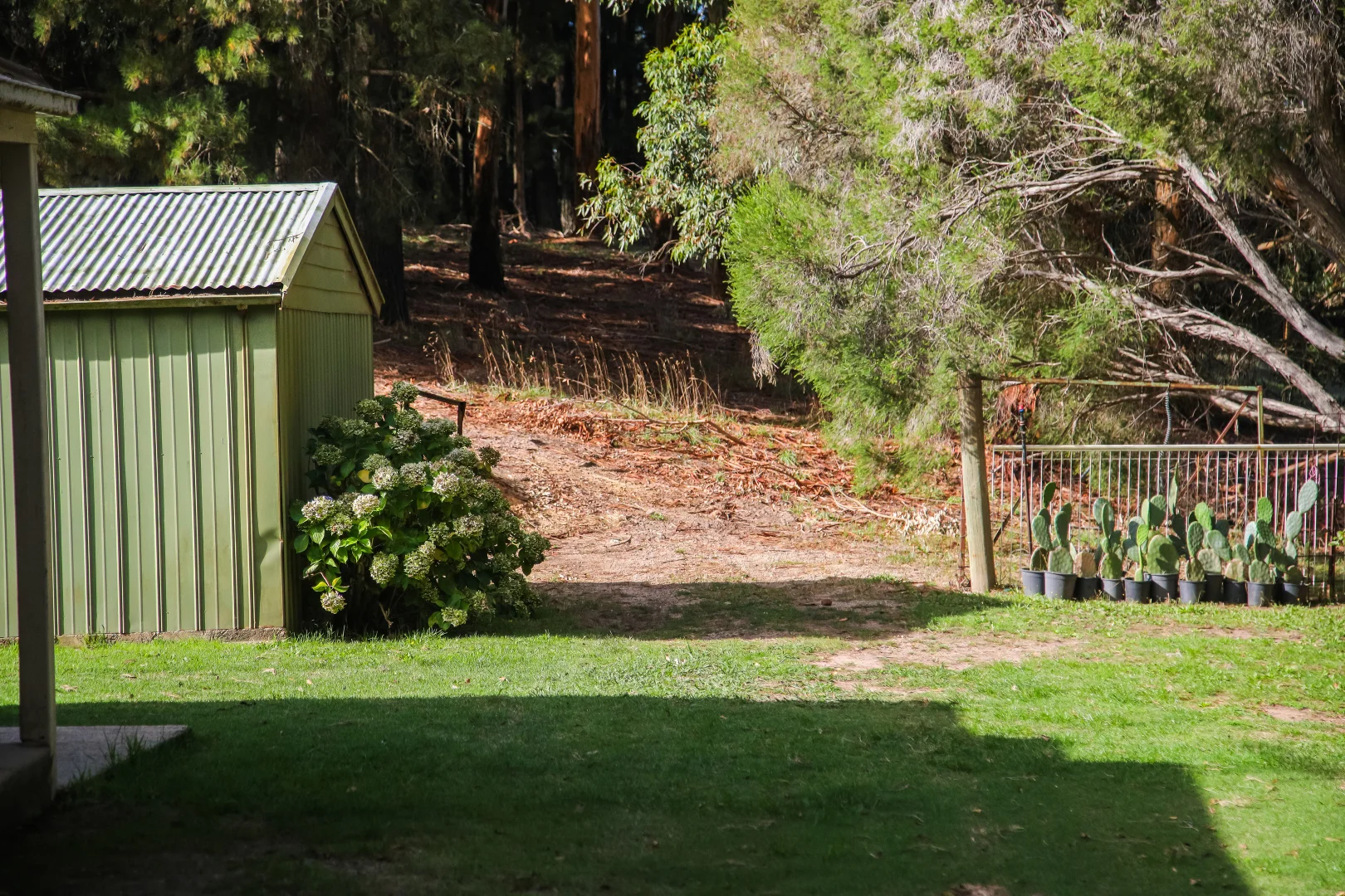 Additional image 15 of 290 Woods Hill Road, Ashton SA 5137