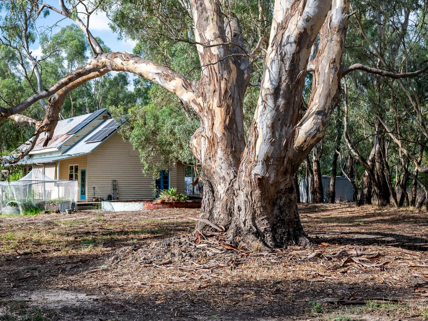 Additional image 18 of 41 Primrose Street, Violet Town VIC 3669