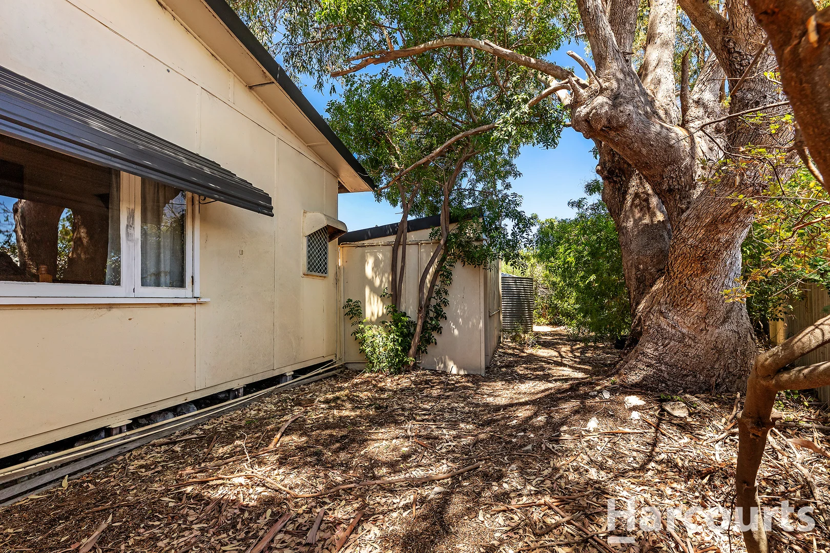 Additional image 16 of 17 Thera Street, Falcon WA 6210