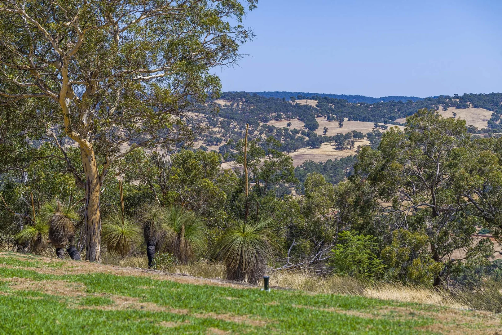 Additional image 29 of 167 Davis Road, Lower Chittering WA 6084