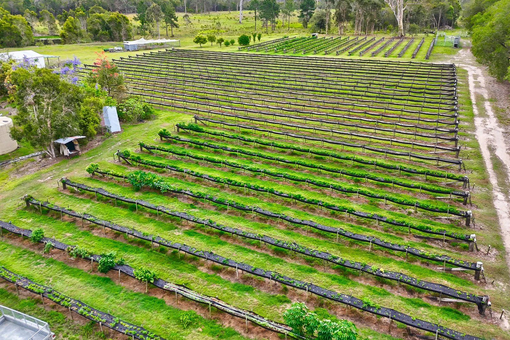 Additional image 33 of 197 Stephan Road, Goomboorian QLD 4570