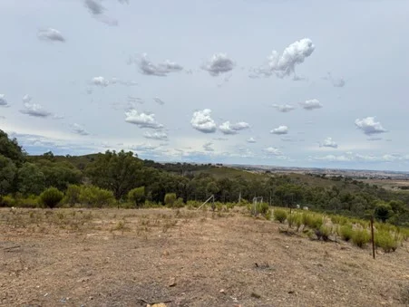 3031 Rugby Road, Bevendale NSW 2581