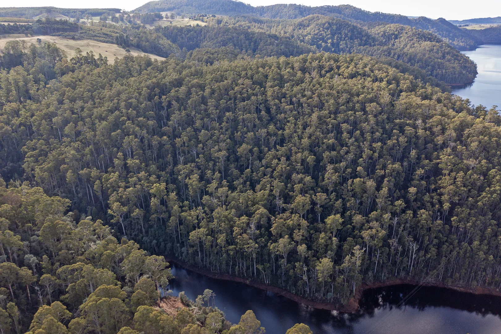 Additional image 6 of Wilmot TAS 7310