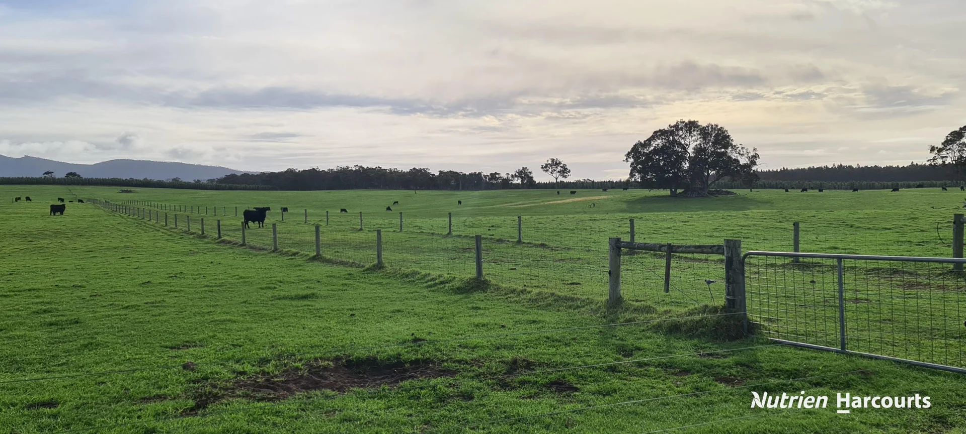 Additional image 26 of 2003 Settlement Road, Napier WA 6330