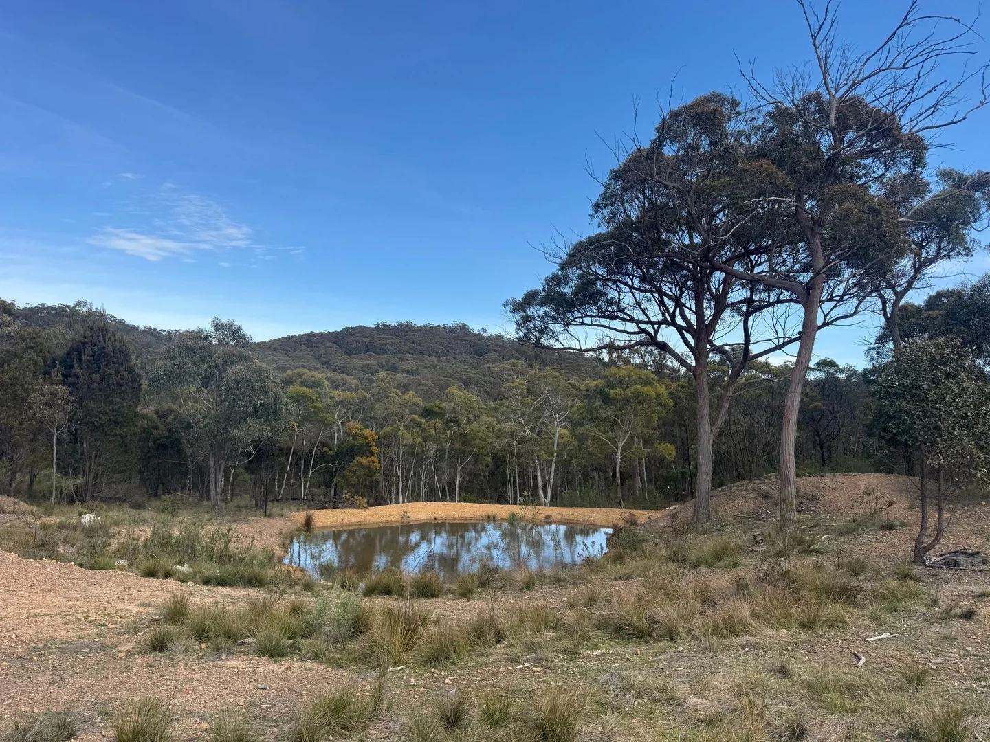 274 Willow Glen Road, Lower Boro NSW 2580