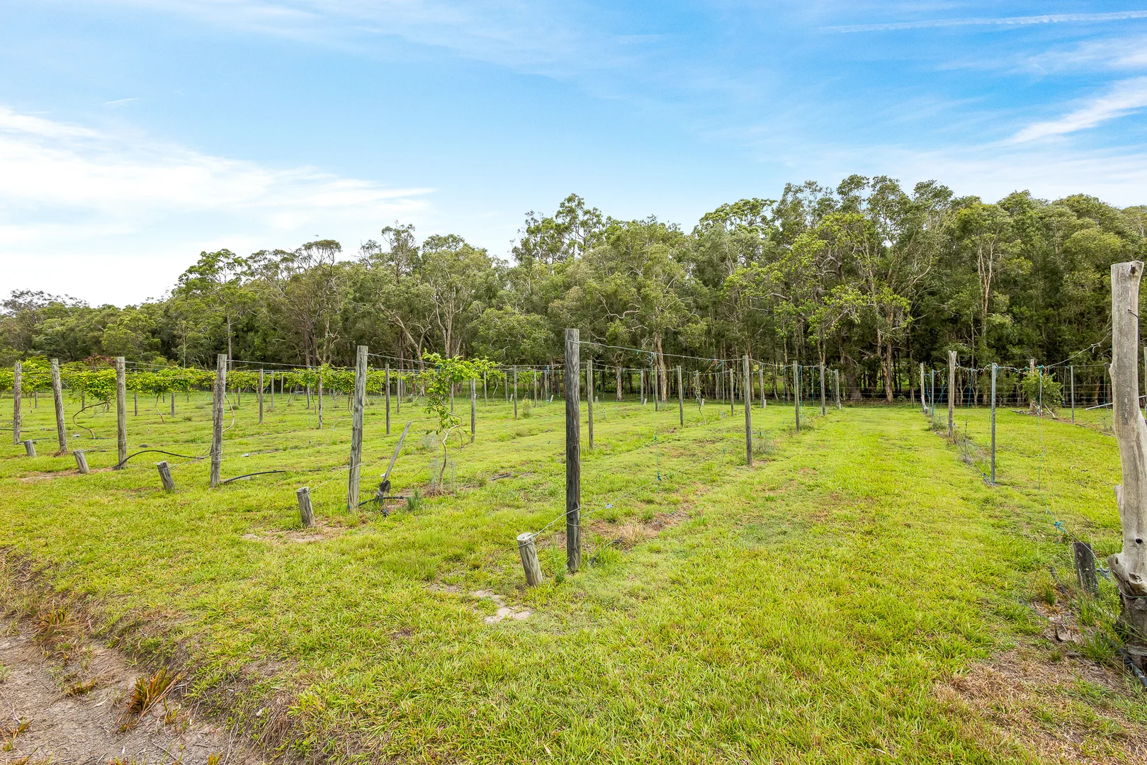 Additional image 34 of 197 Stephan Road, Goomboorian QLD 4570