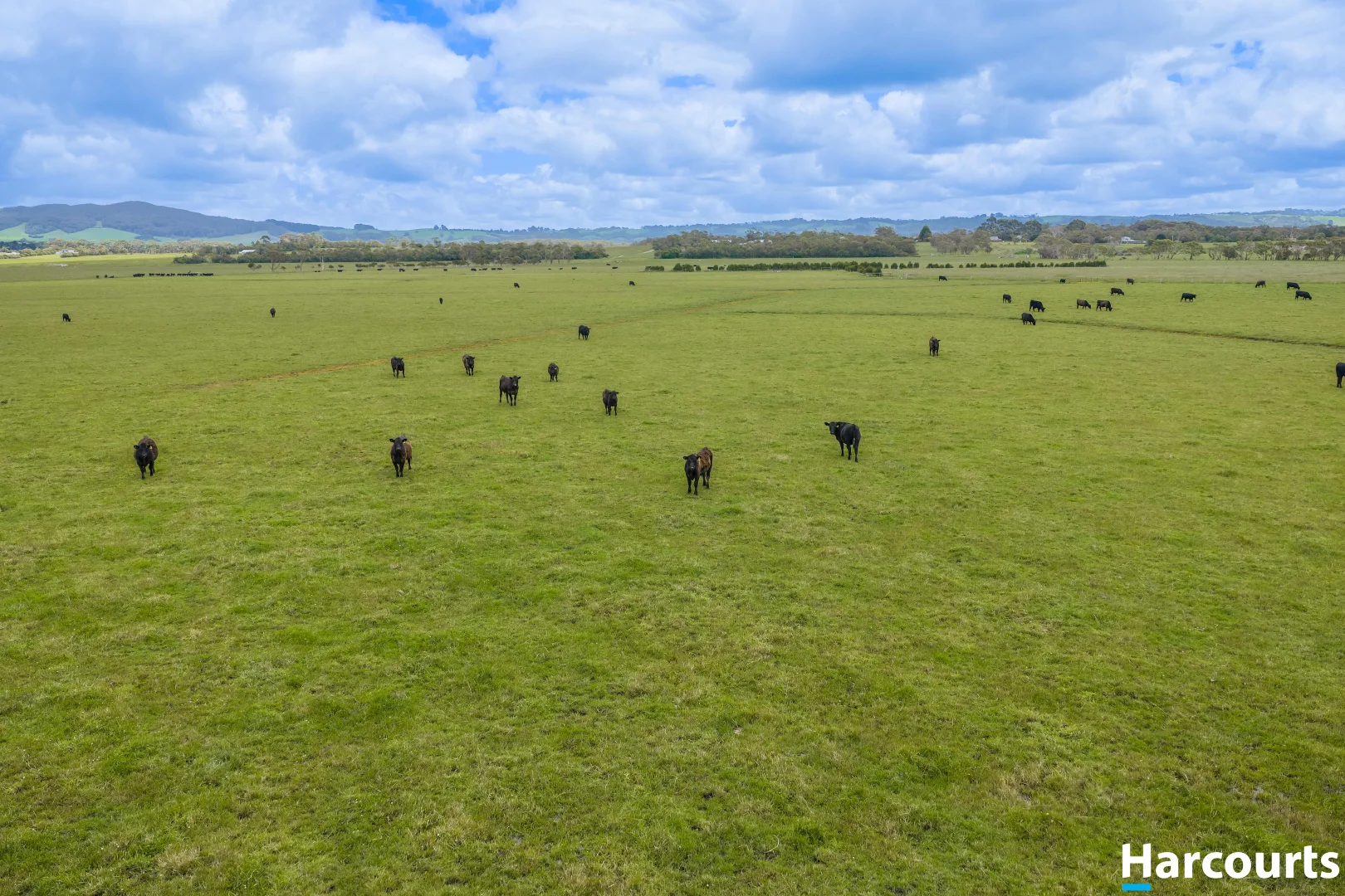 Additional image 26 of 515 Fullers Road, Foster VIC 3960