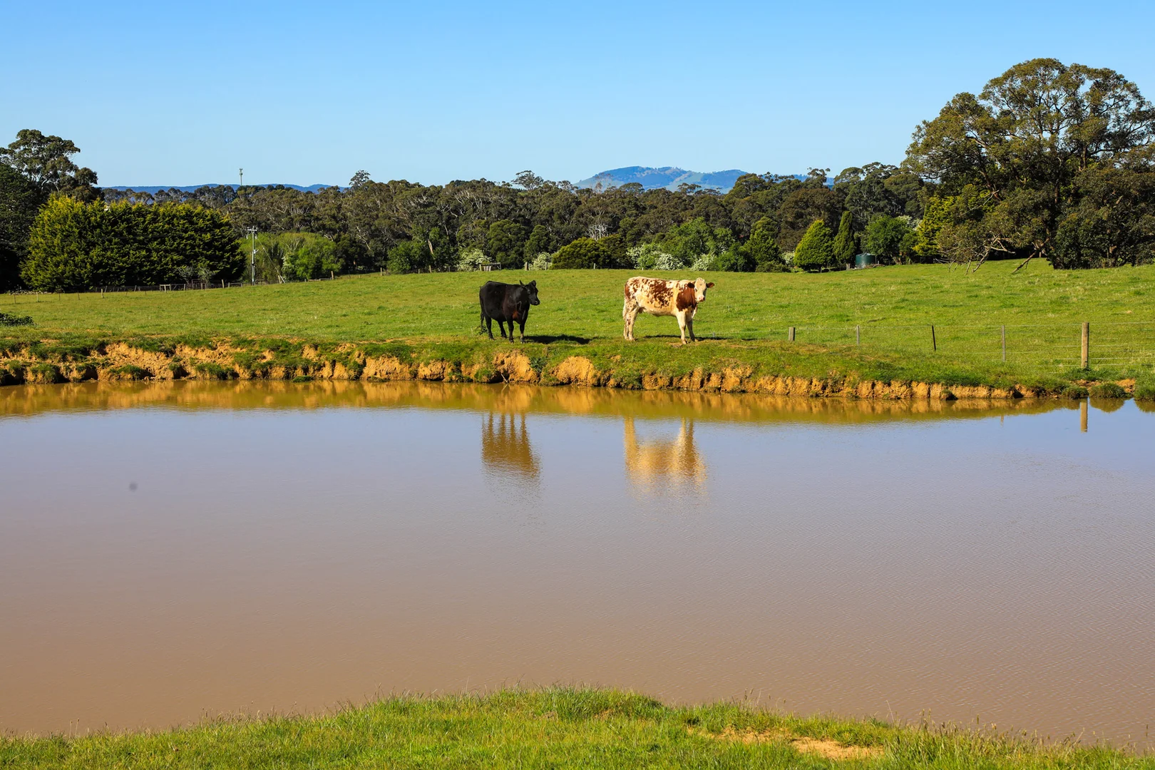 Additional image 18 of 154 Straws Lane, Hesket VIC 3442