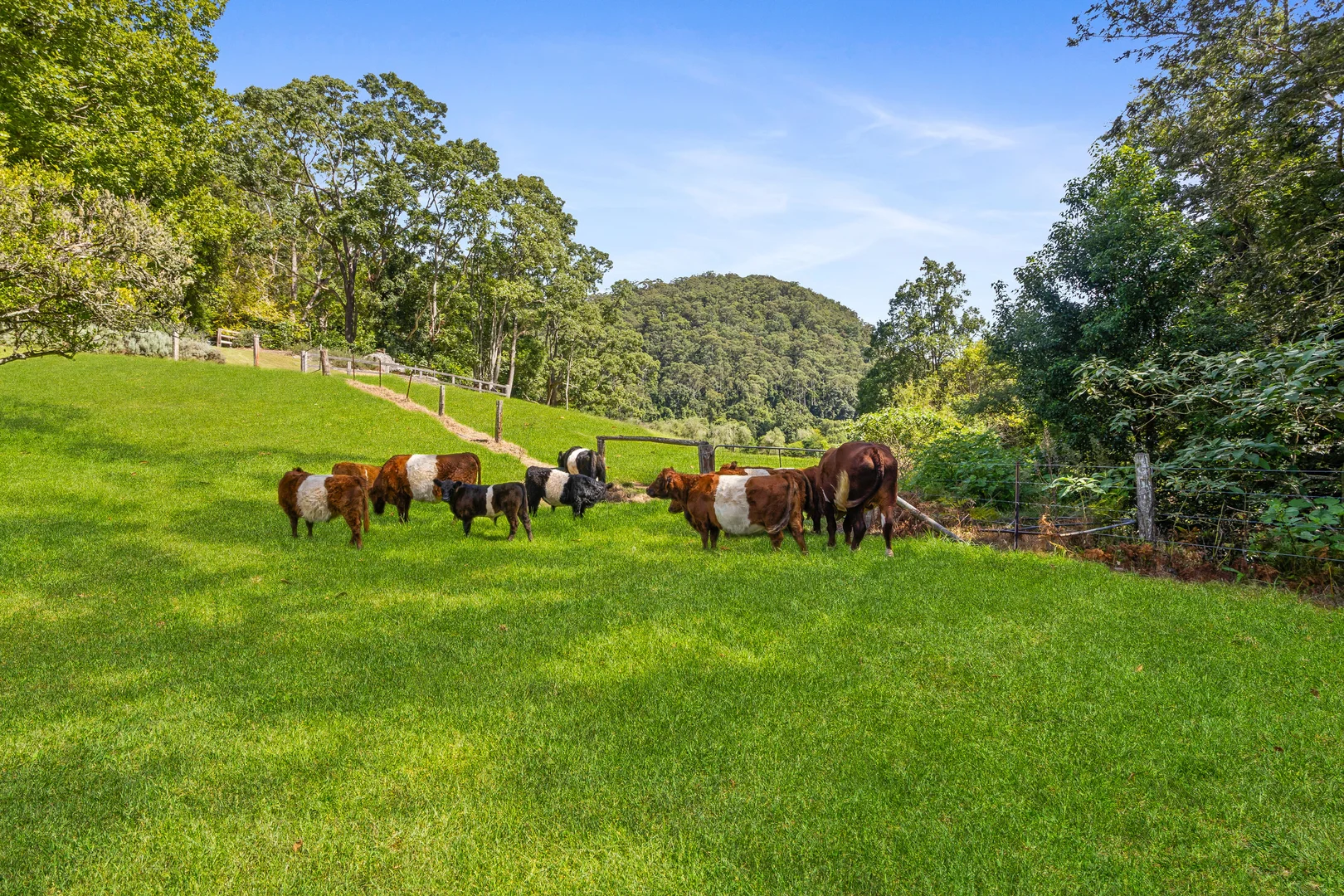 Additional image 19 of 665 Brush Creek Road, Cedar Brush Creek NSW 2259