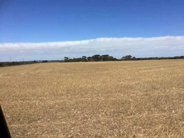 Additional image 3 of Lot 1673 Mccauley Road, Boors Plain SA 5554