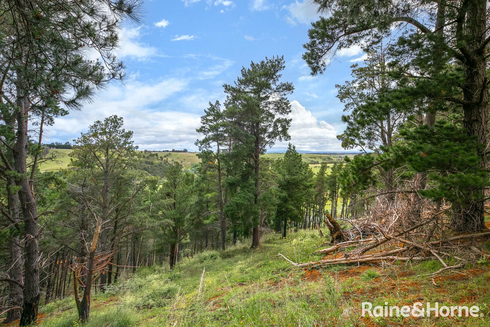 Additional image 11 of 10 Misty View Court, Gisborne VIC 3437