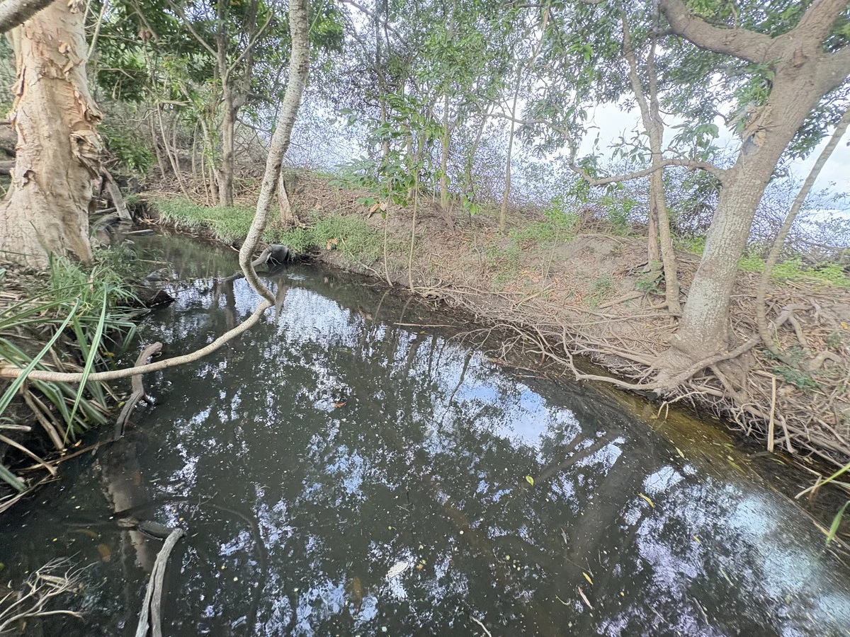 Additional image 13 of 2 Oakenden Sarina Road, Oakenden QLD 4741