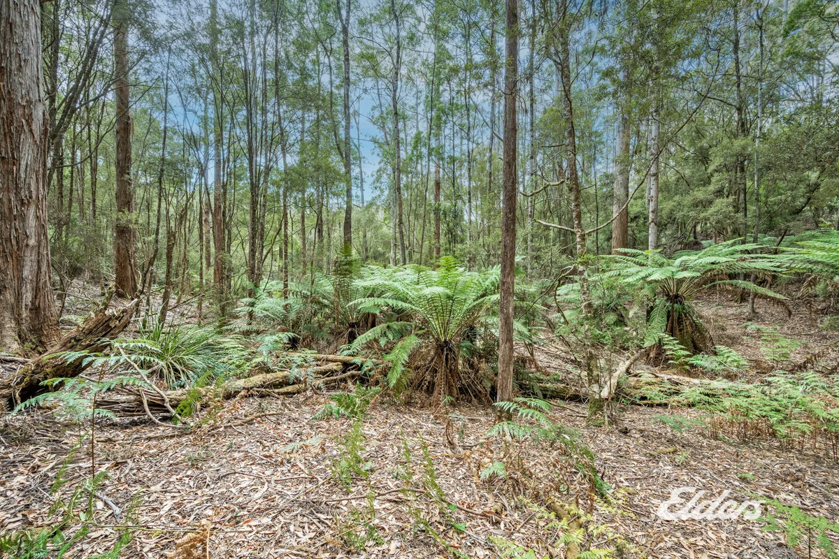 Additional image 12 of Faheys Lane, Irishtown TAS 7330