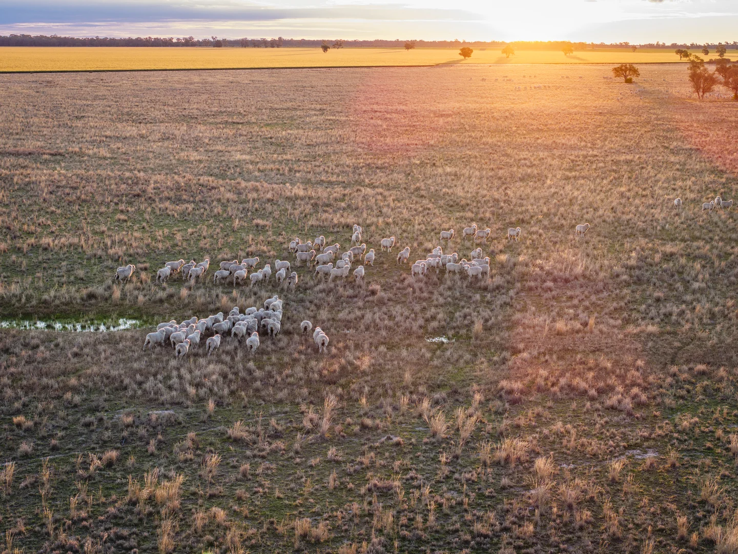 Additional image 16 of Bourbah 2598 Warren Road, Gulargambone NSW 2828