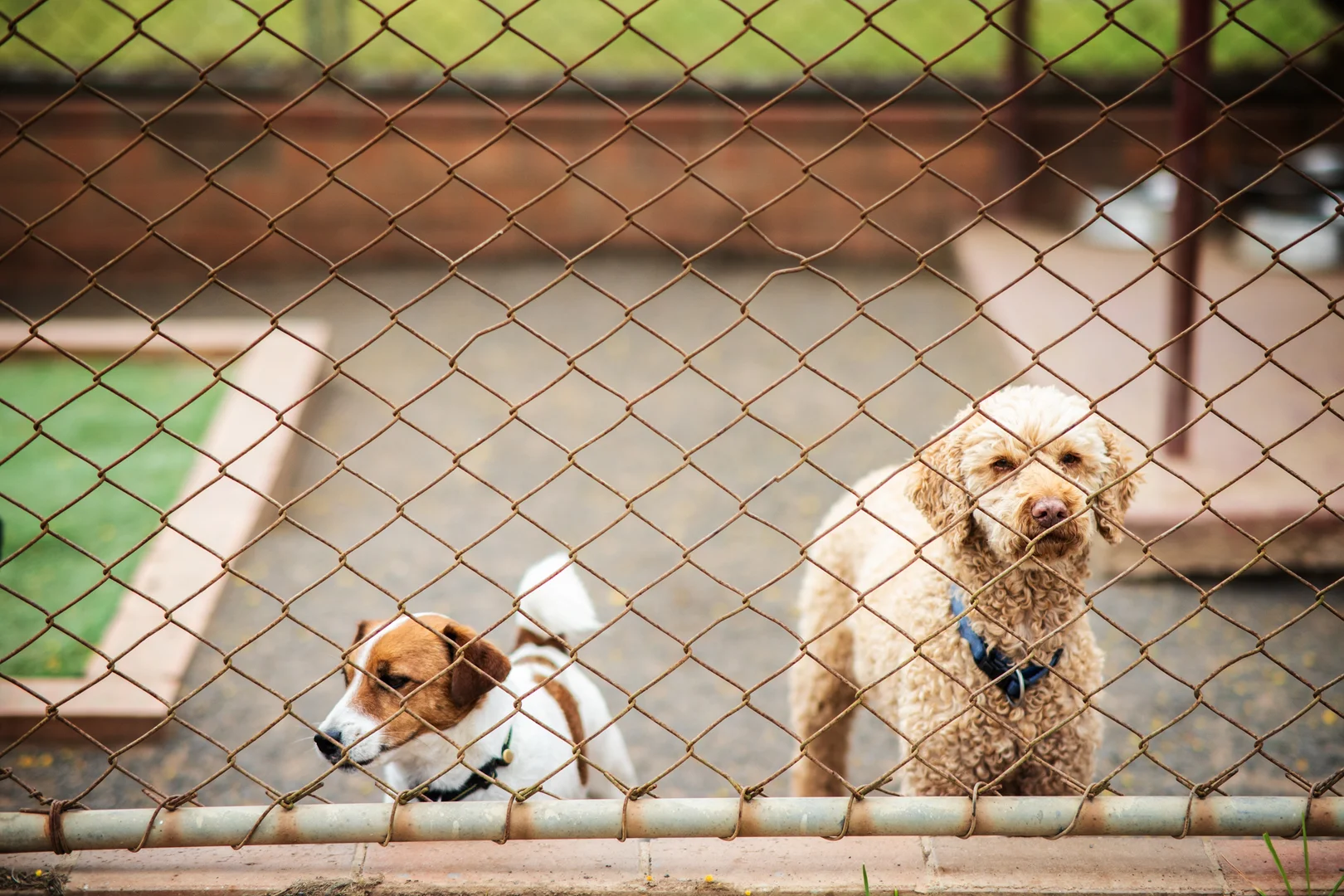 Additional image 43 of 297 Burden Drive, Oallen NSW 2622