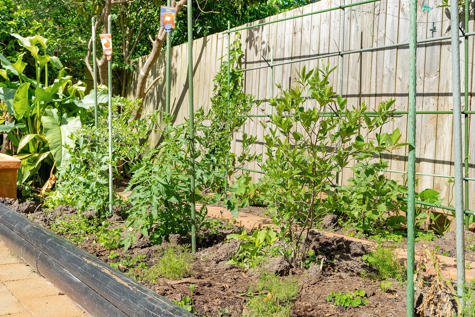 Additional image 14 of 8/78 Bendooley Street, Bowral NSW 2576