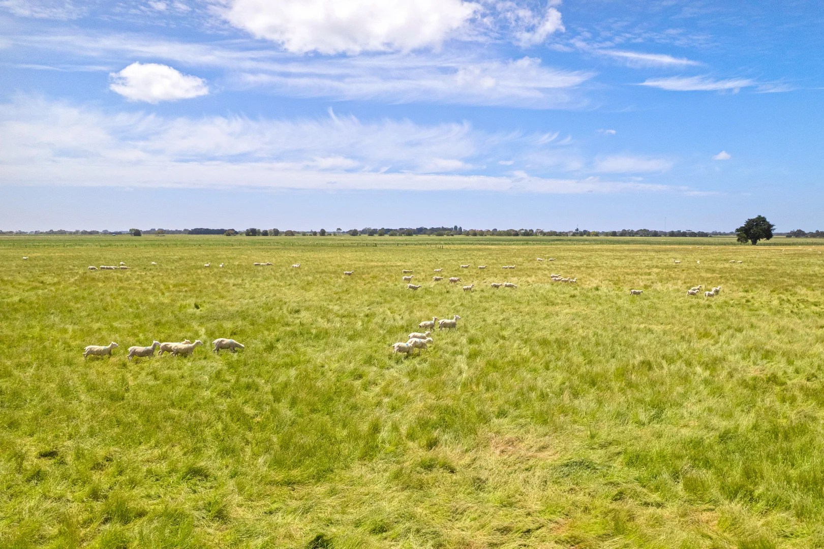 Additional image 17 of Lot 55 Princes Highway, Millicent SA 5280