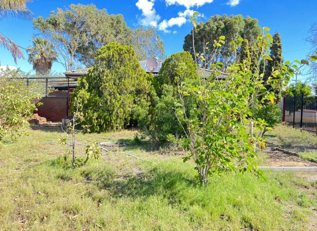 Additional image 23 of 10 Kenny Crescent, Rangeway WA 6530