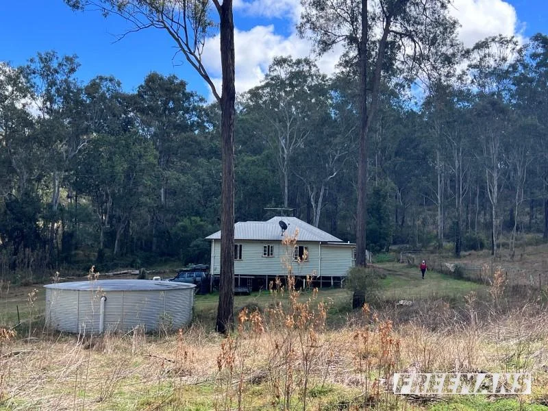 Additional image 14 of 316 Wattle Camp Road, Wattle Camp QLD 4615