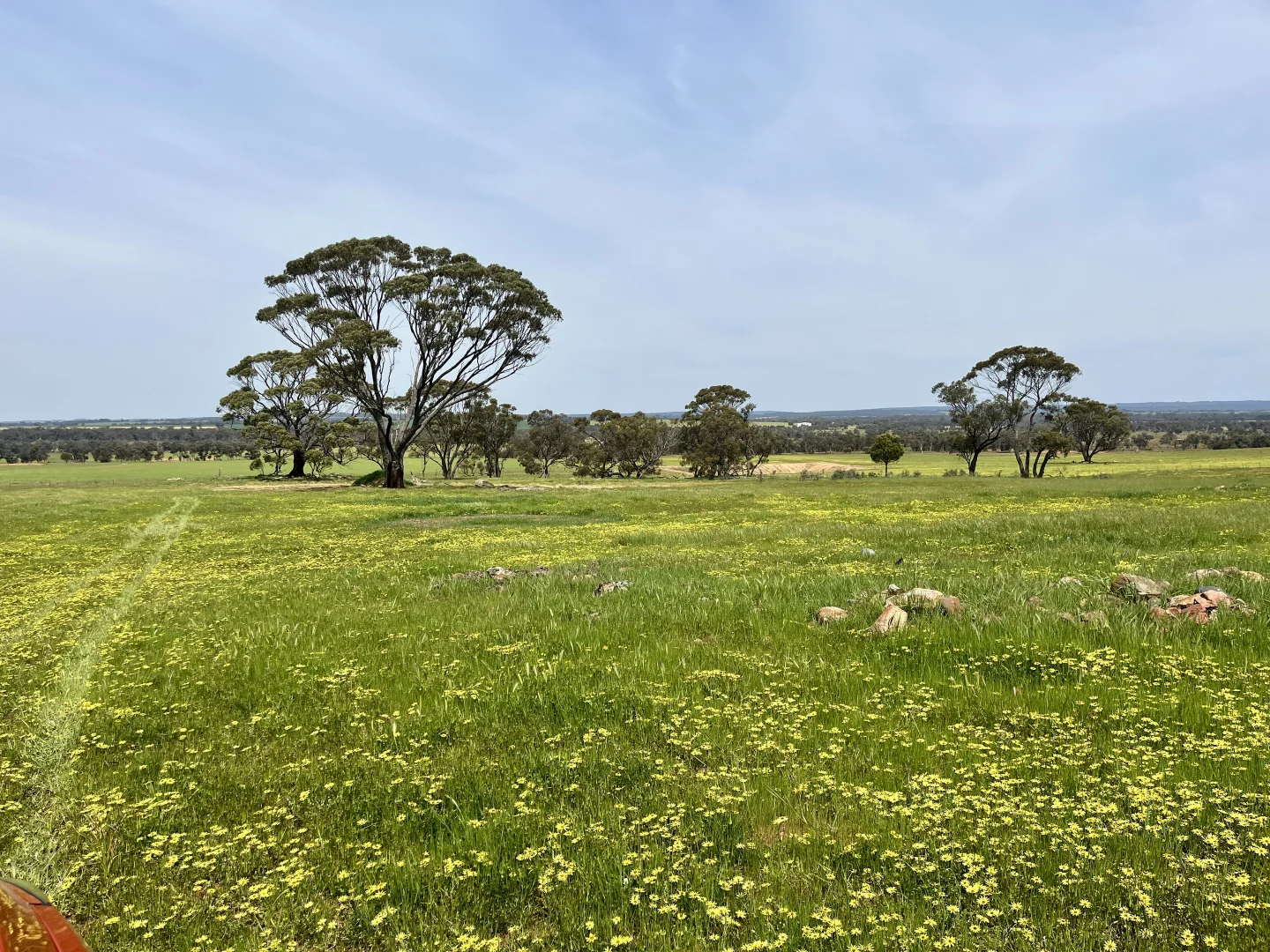 Additional image 29 of 547 Bunmulling Road, Popanyinning WA 6309