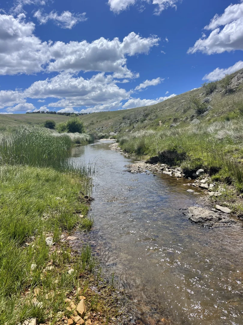Additional image 2 of Golspie Road, Golspie NSW 2580