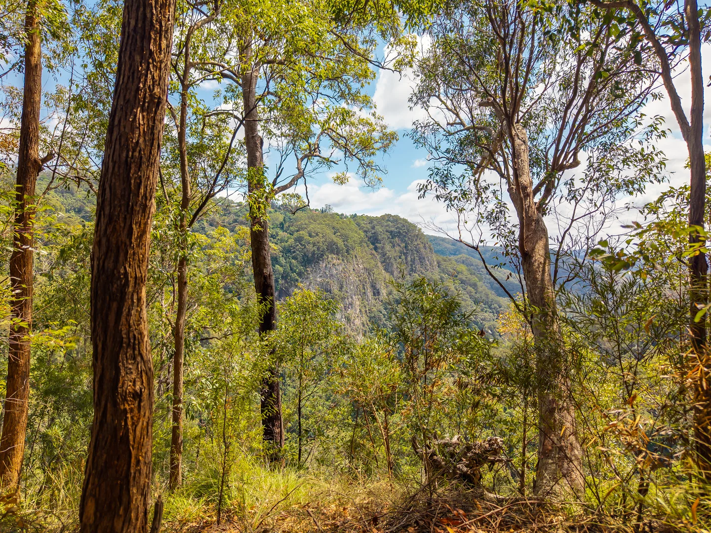 Additional image 19 of 195-275 Kaiser Road, Tamborine Mountain QLD 4272