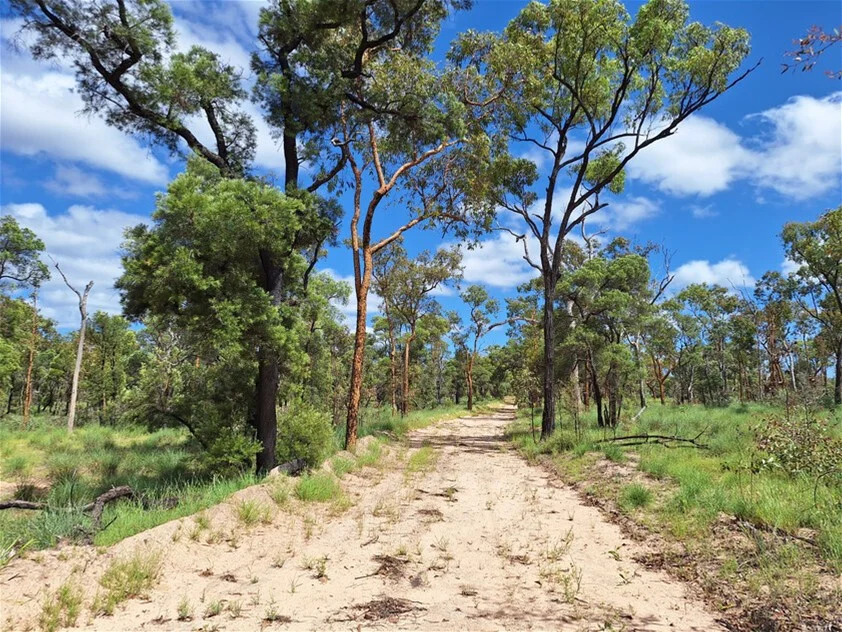 Additional image 17 of 6743 Dunrobin Road, Jericho QLD 4728