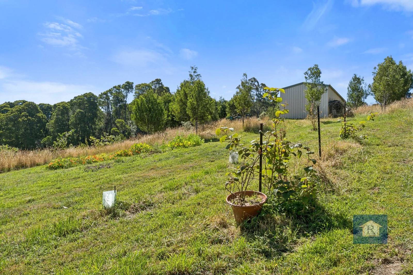 Additional image 10 of 22 Old Main Road, Beech Forest VIC 3237