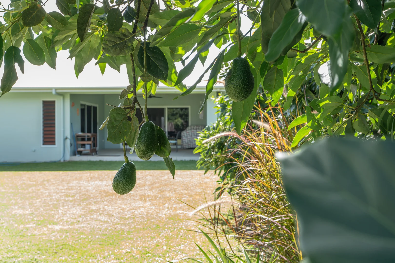 Additional image 4 of 11 Nivosa Ct, Mission Beach QLD 4852