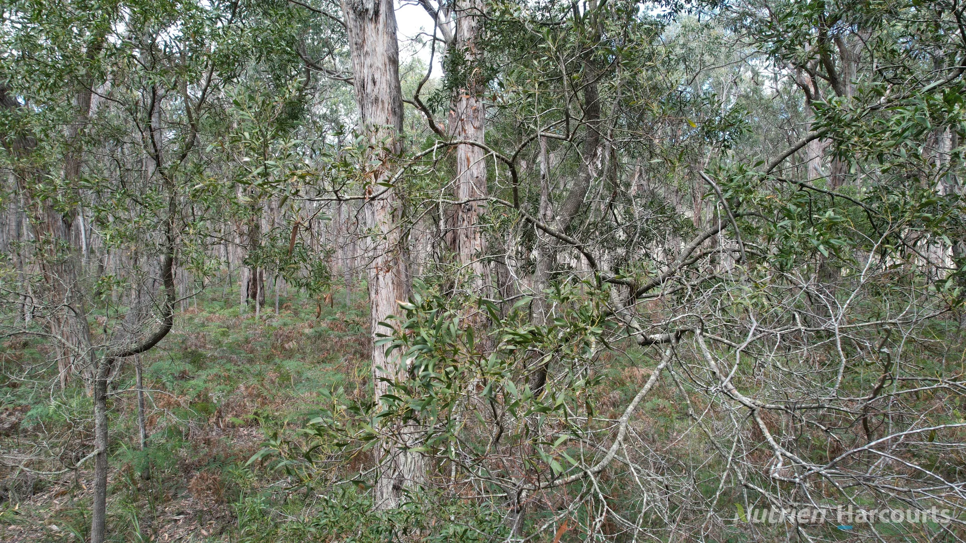 Additional image 2 of "Myamyn West" Myamyn Road, Hotspur VIC 3303