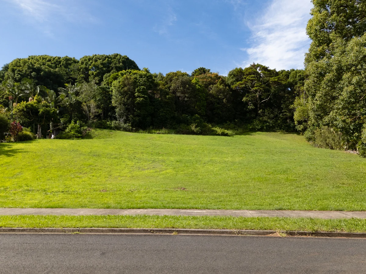 Additional image 9 of 18 Left Bank Road, Mullumbimby NSW 2482