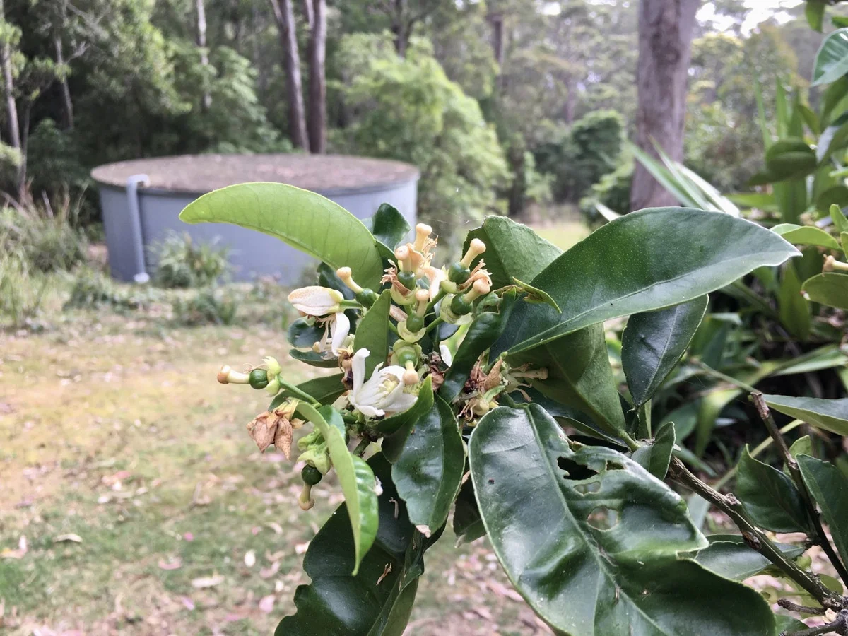 Additional image 34 of 12 Alinjarra Place, Barragga Bay NSW 2546