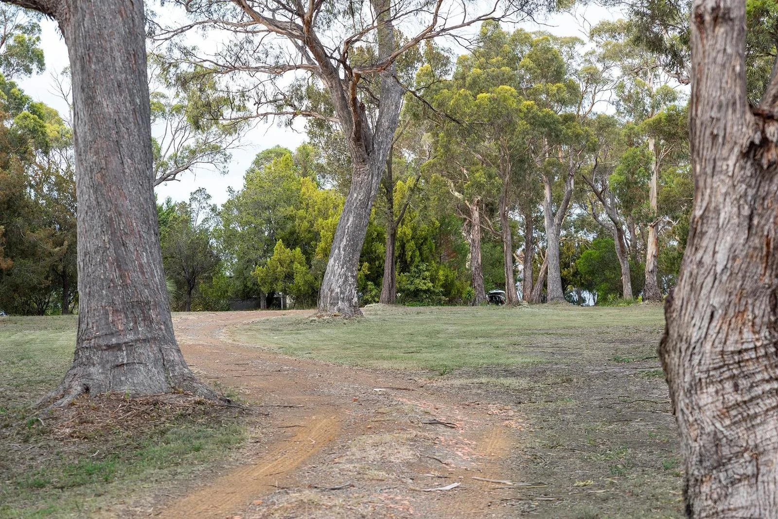 Additional image 18 of 15 Manning Drive, Orford TAS 7190