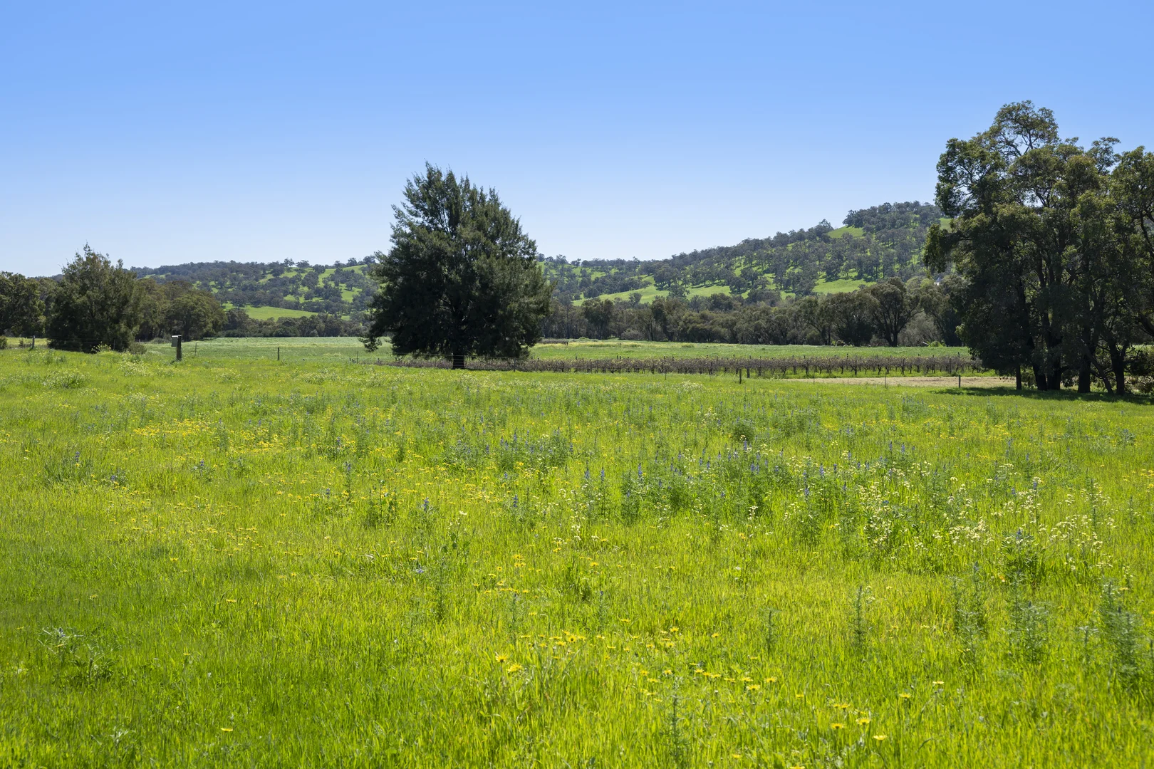 Additional image 6 of 54 Chittering Valley Road, Lower Chittering WA 6084