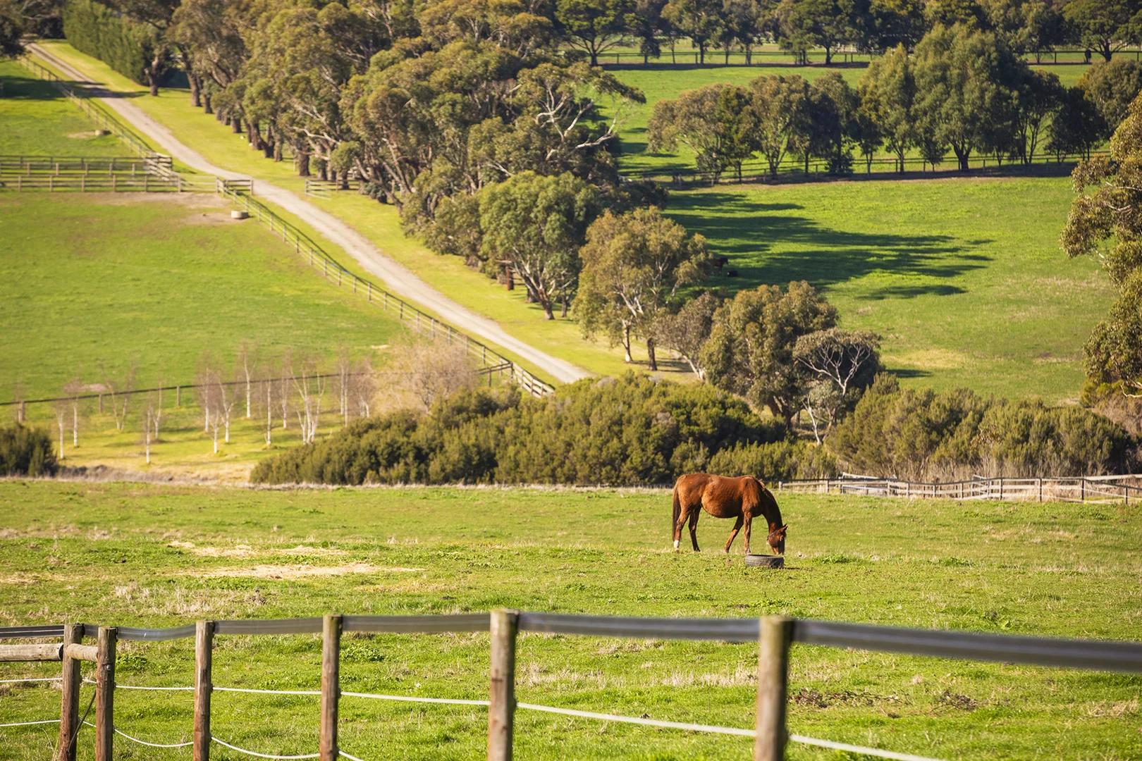 Additional image 9 of 4470 Frankston-Flinders Road, Flinders VIC 3929