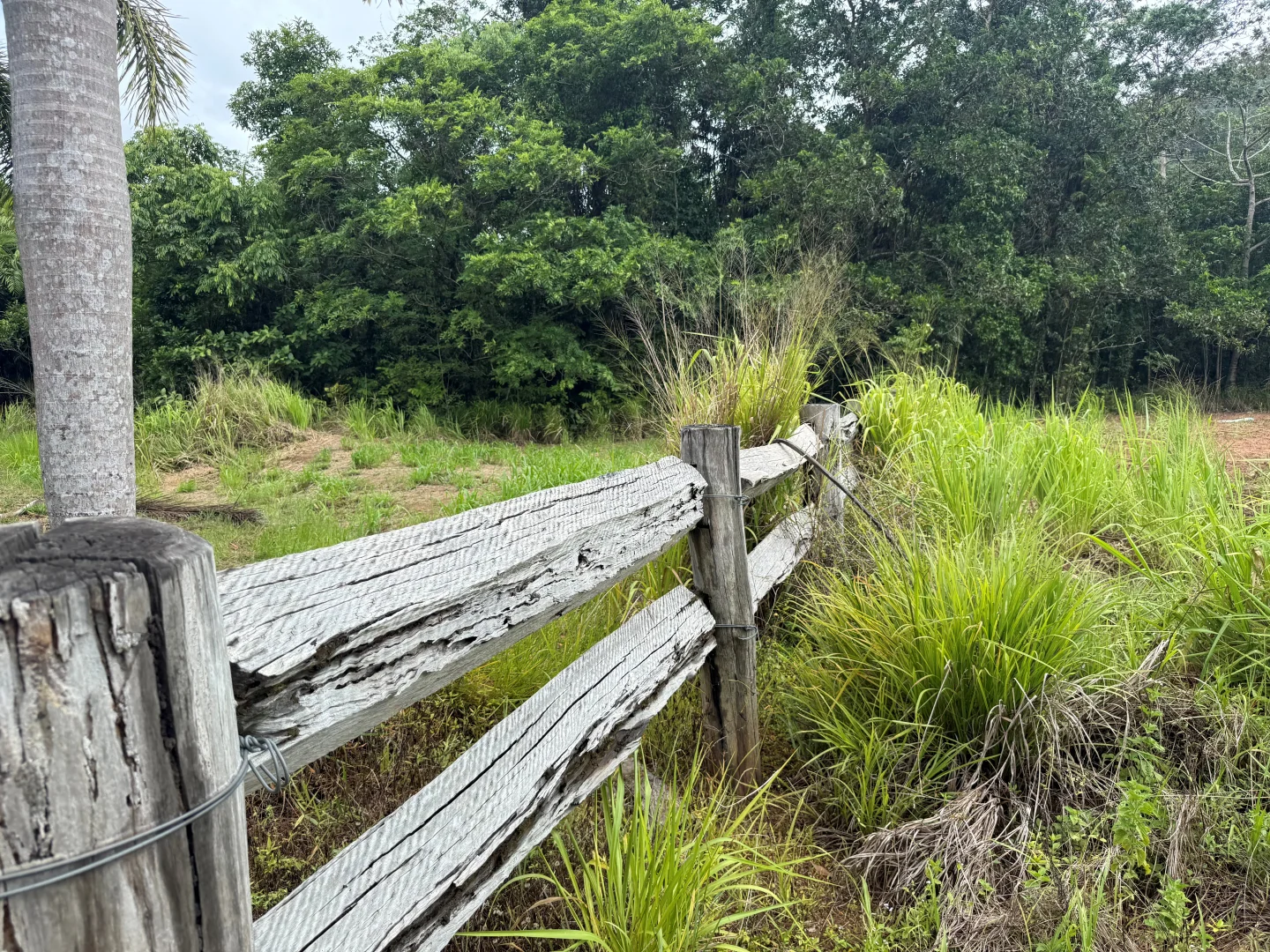 Additional image 17 of Lot 299 Bruce Highway, Friday Pocket QLD 4855