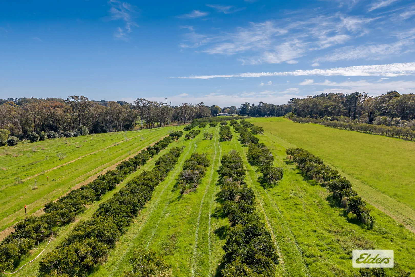 Additional image 10 of 323 Forest Road, Kulnura NSW 2250