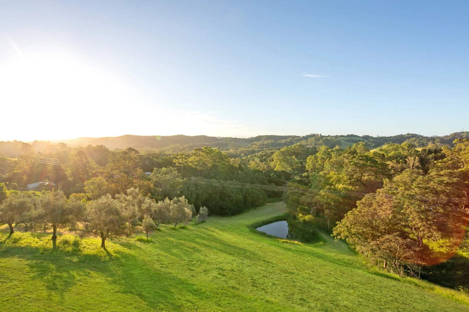 Additional image 19 of 42 Top Forestry Road, Ridgewood QLD 4563