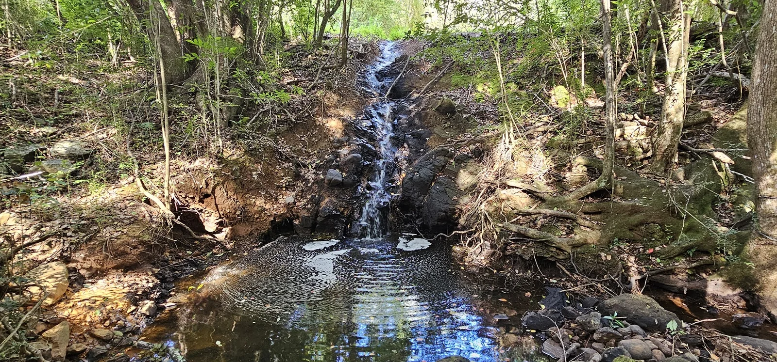 Additional image 10 of 1025 Lismore Road, Nashua NSW 2479