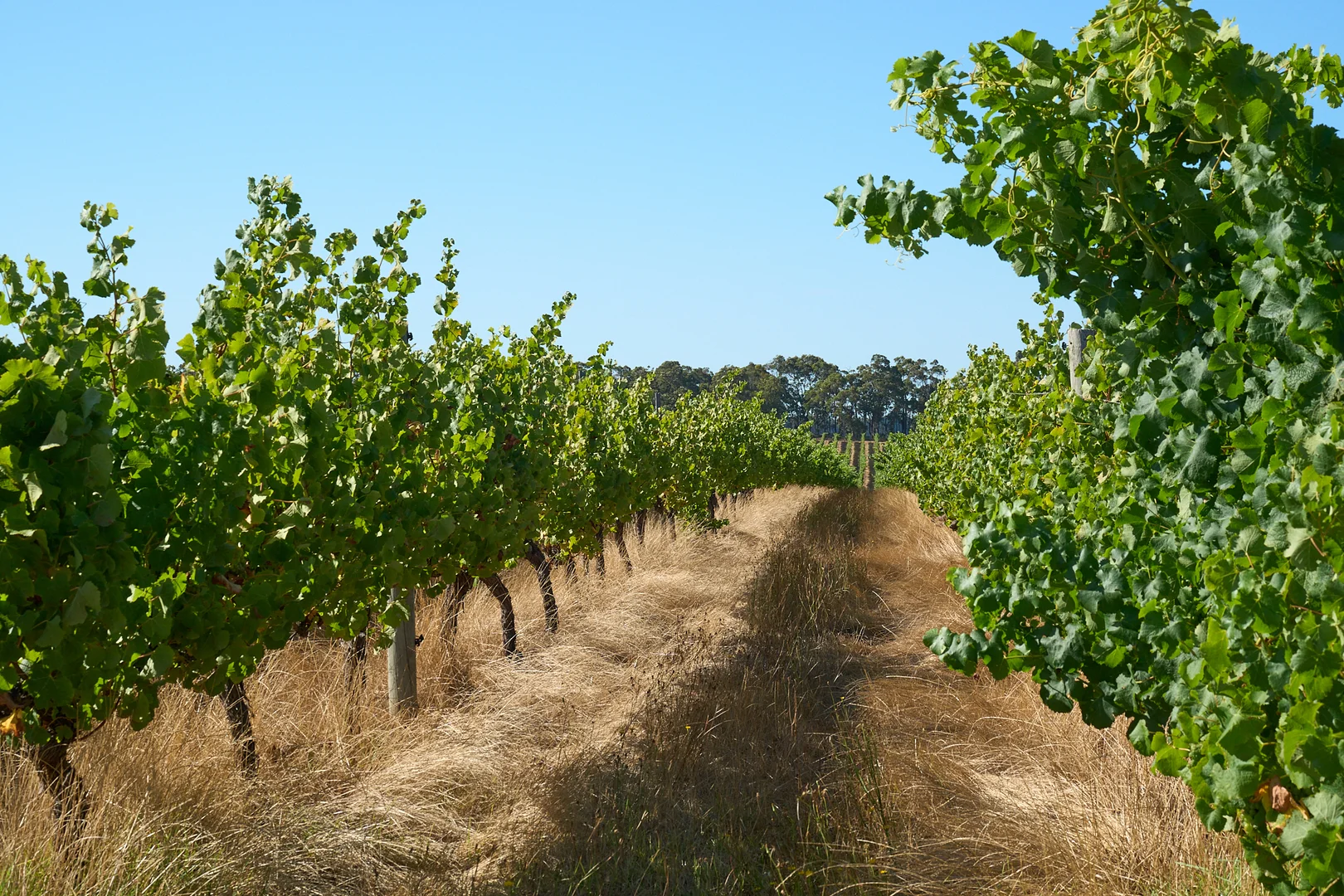 Additional image 8 of 346 Lucas Road, Rosa Glen WA 6285
