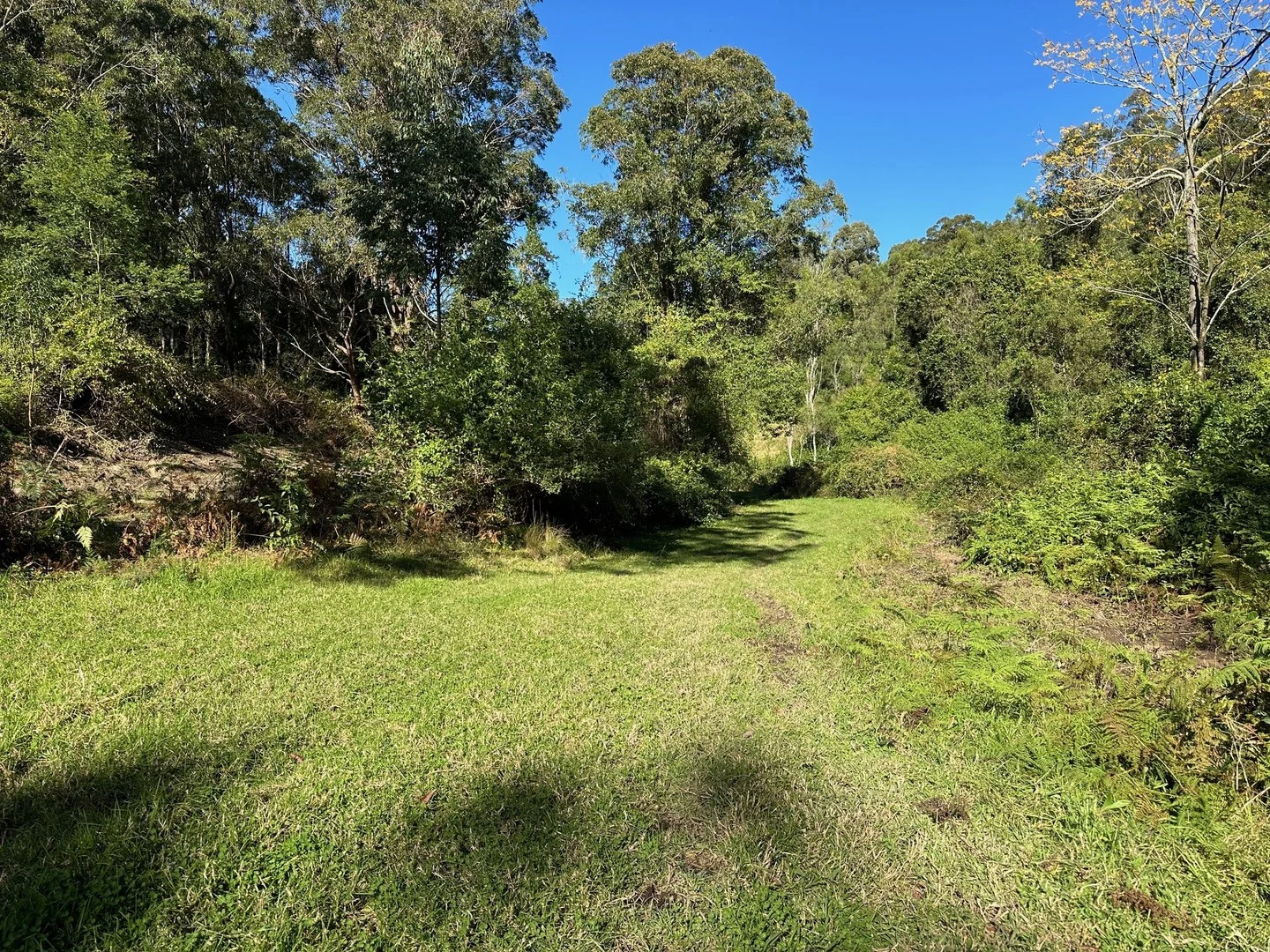 Additional image 7 of 129 Quartpot Creek Road, Dungog NSW 2420
