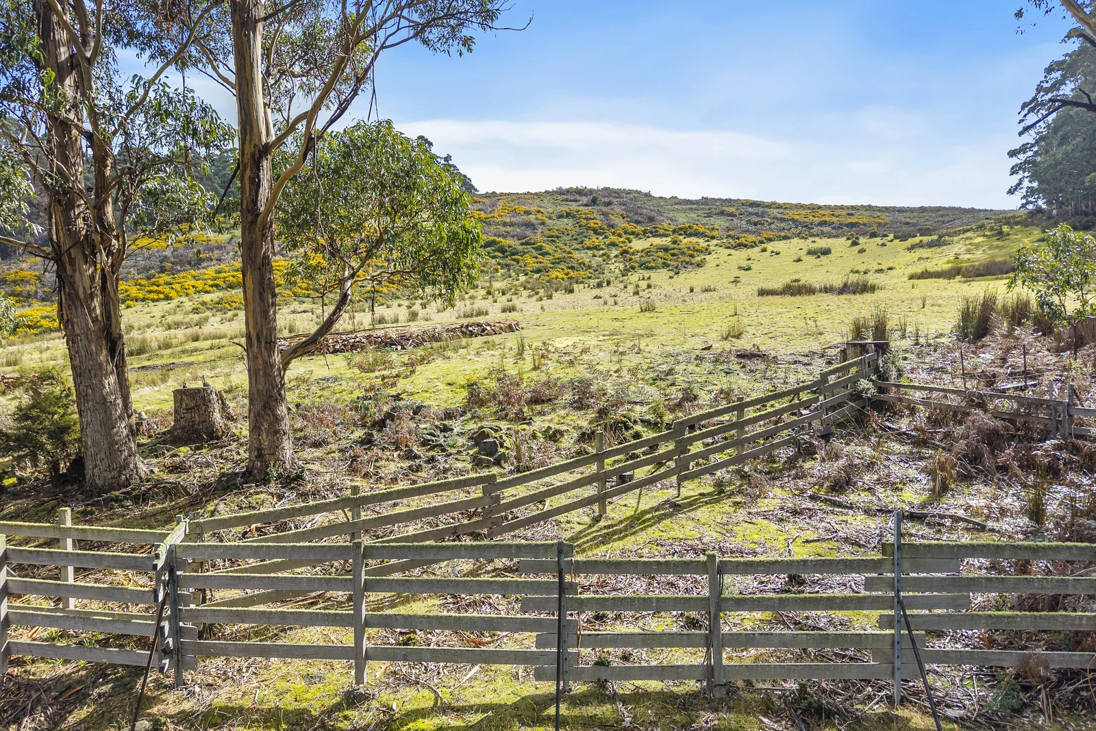Additional image 8 of Lot 1 Longmans Road, Snug TAS 7054