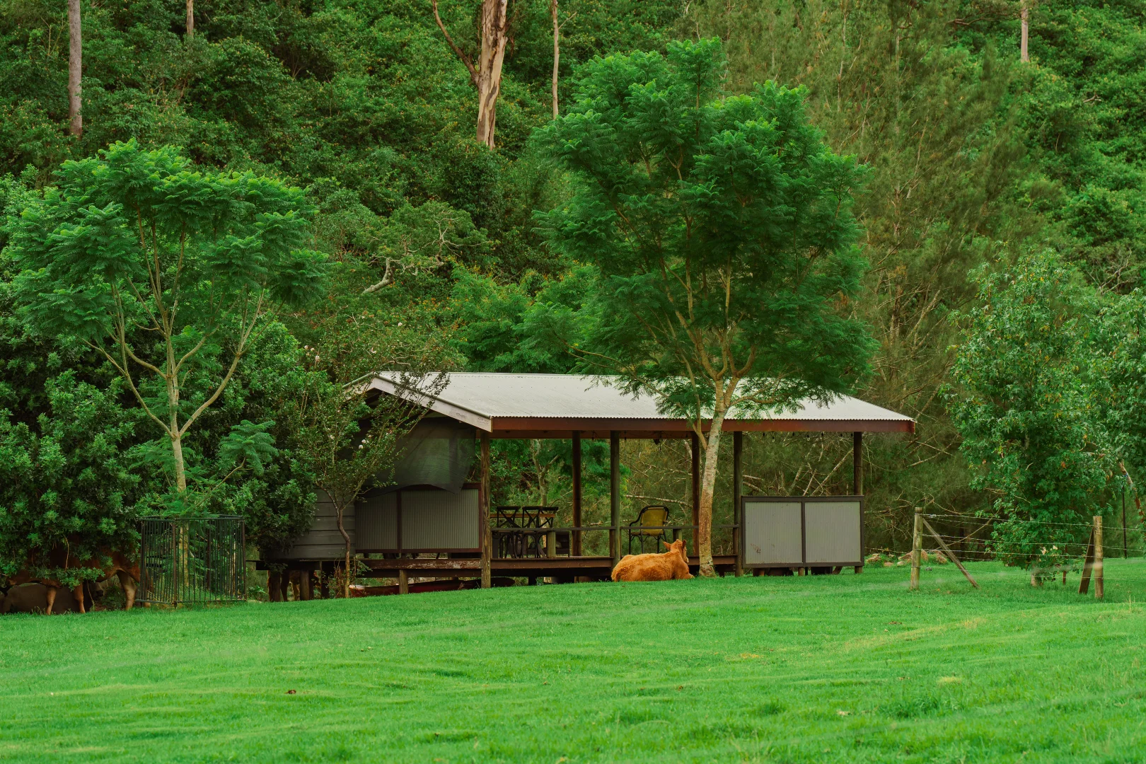 Additional image 6 of 466 Sarabah Road, Sarabah QLD 4275