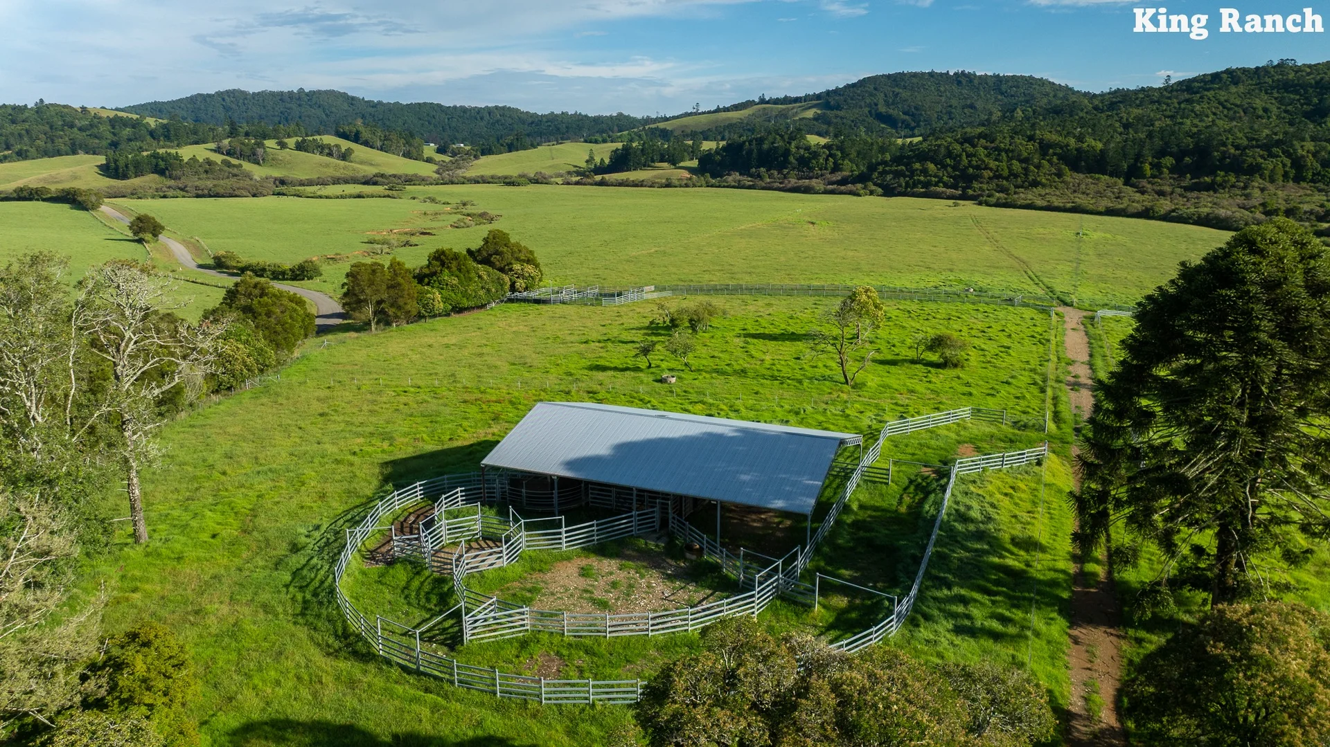 Additional image 13 of "King Ranch" 481 Upper Bobo Road, Dorrigo NSW 2453