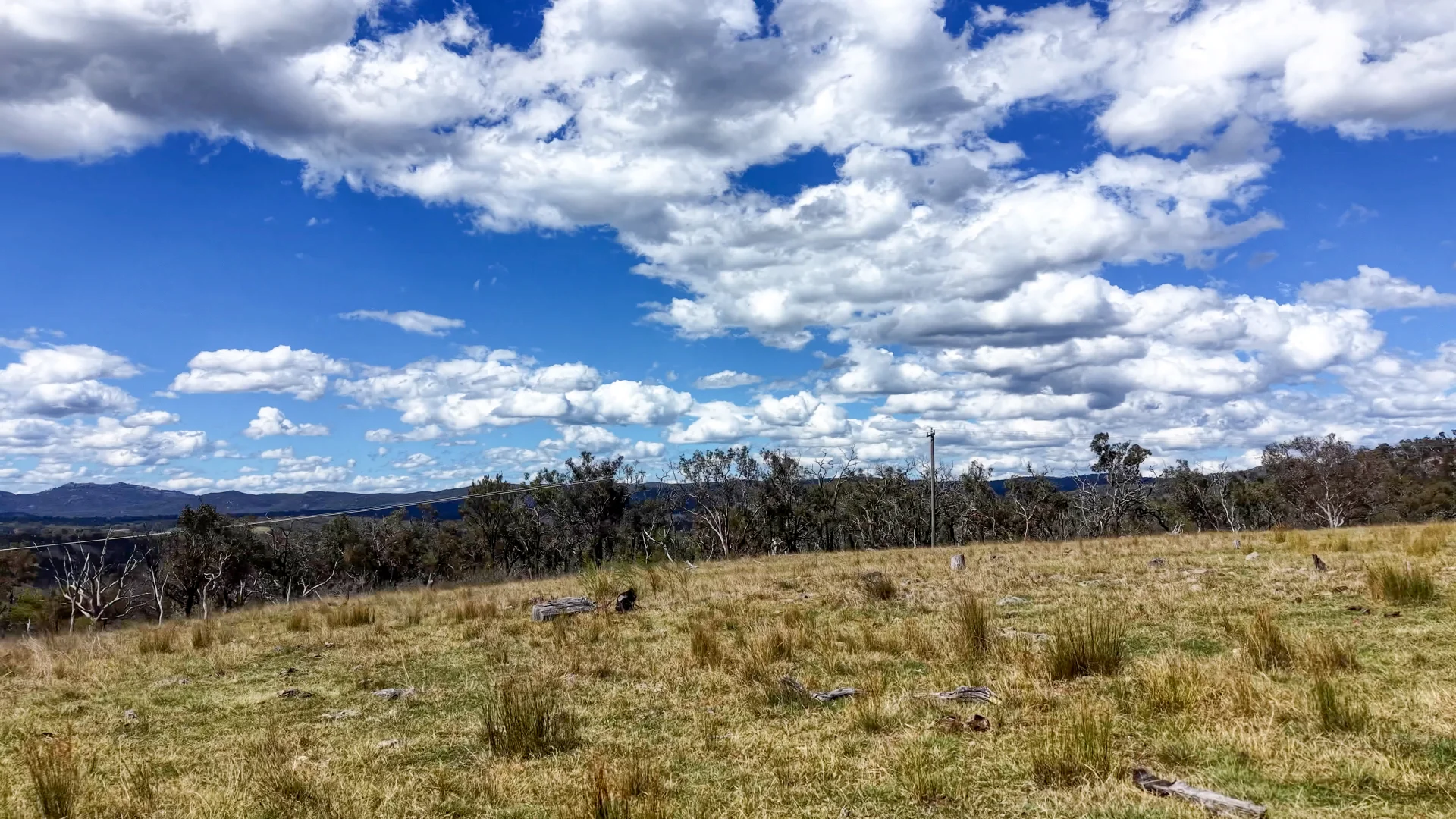 Additional image 19 of Lot 570 Tarban Road, Tenterfield NSW 2372